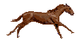 Horse Hair Bag